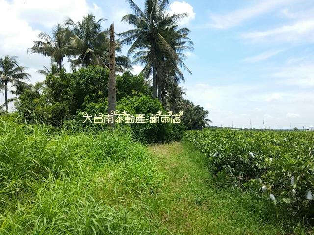 善化農地-3