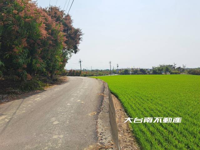 台南官田農地-9