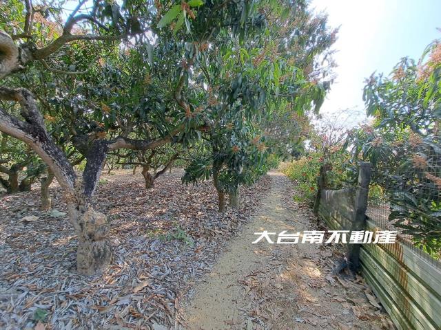 台南官田農地-6