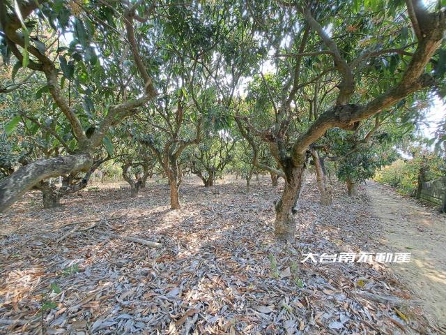 台南官田農地-7