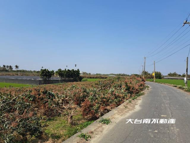 台南官田農地-8