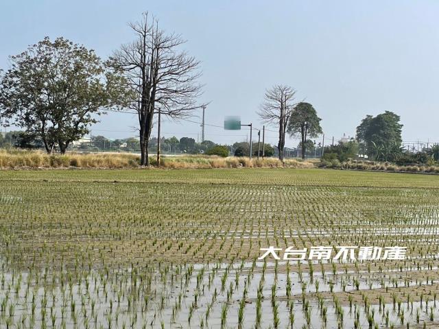 台南善化農地-1