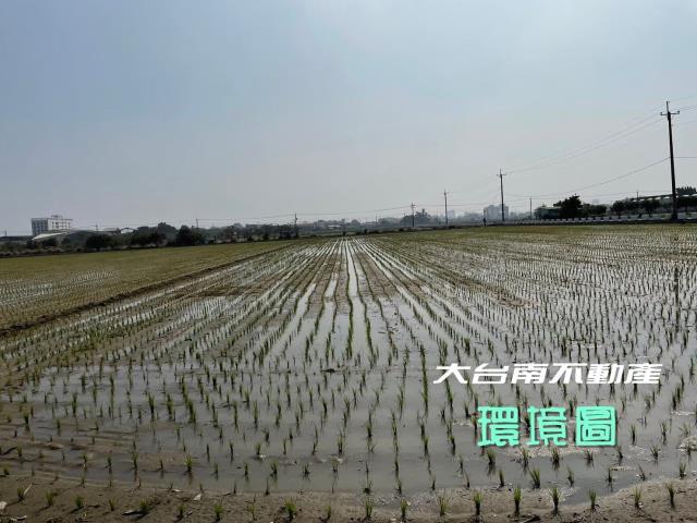 台南善化農地-3