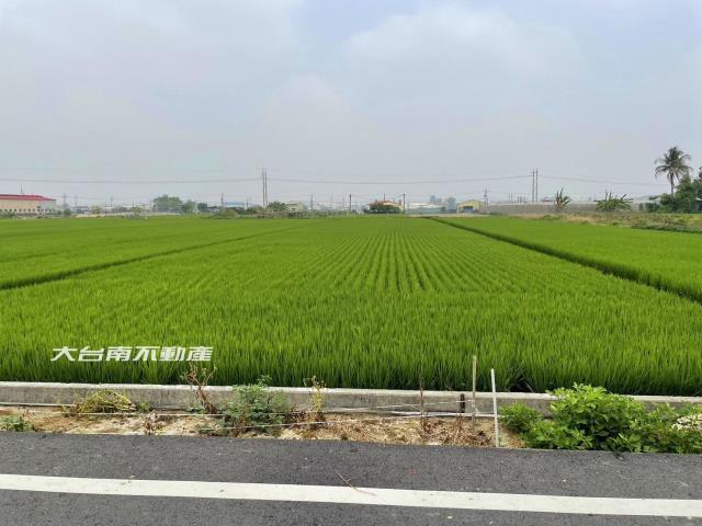 台南新市農地-0