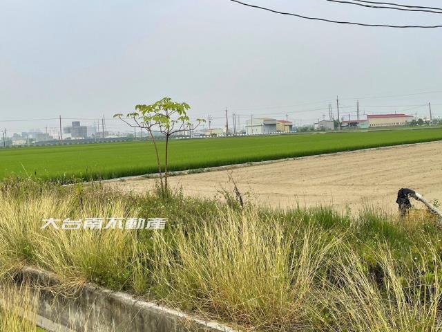 台南新市農地-1