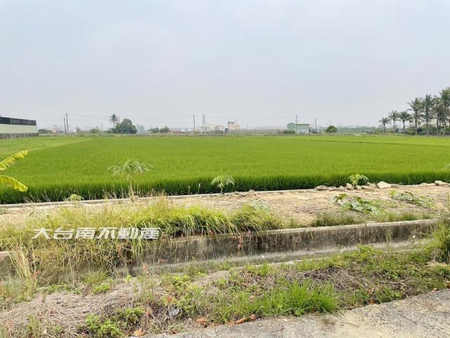 台南新市農地-4