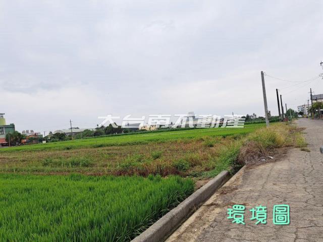 台南善化農地-3