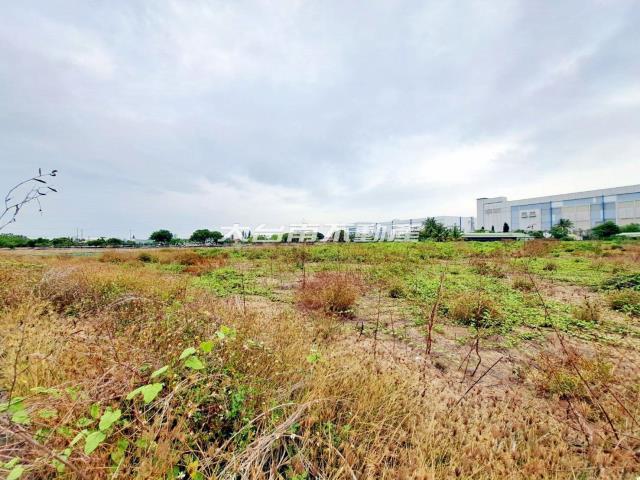 台南新市農地-2