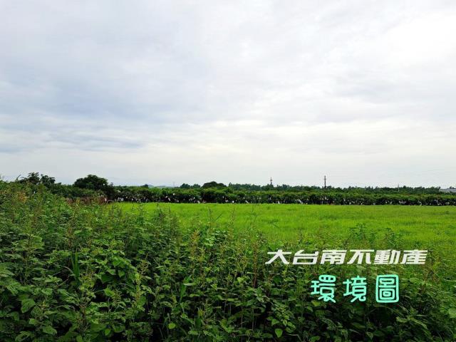 台南官田農地-0