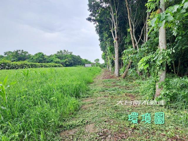 台南官田農地-1