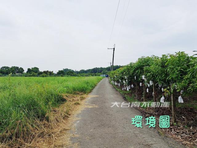 台南官田農地-3