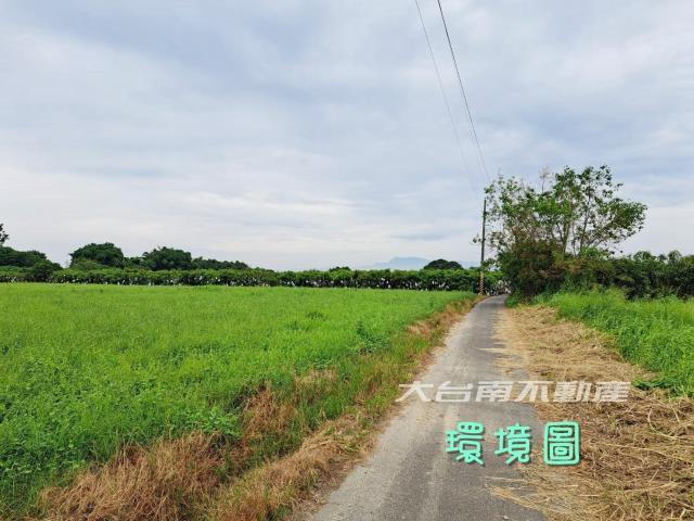 台南官田農地-4