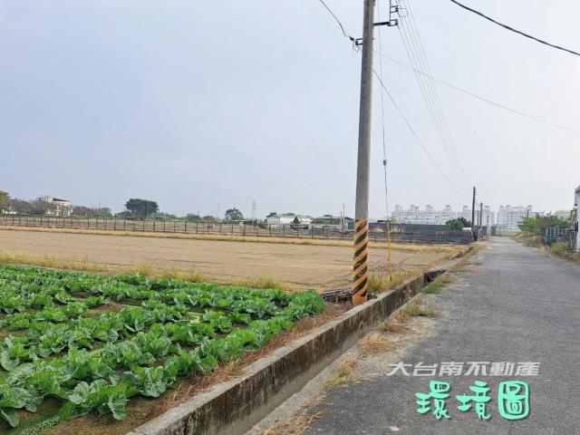 善化農地-2