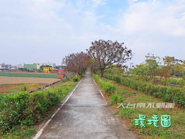 善化農地-3