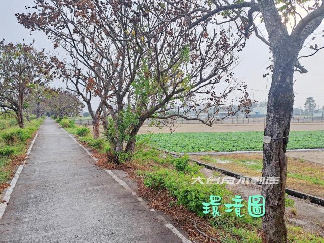 善化農地-4