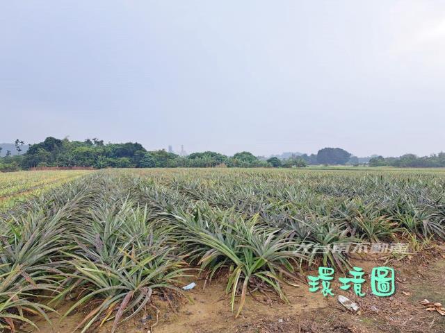 山上農地-2