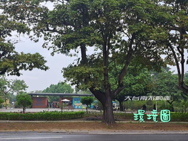 山上農地-3