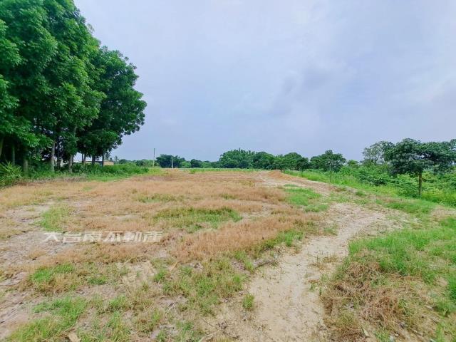 官田農地-0