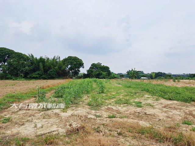 官田農地-1