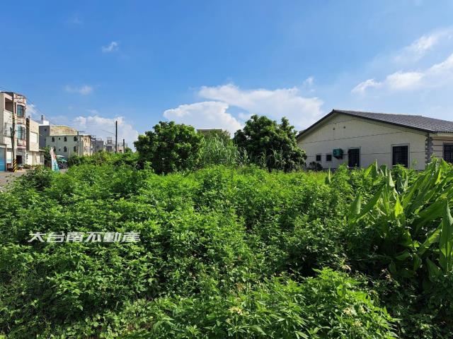 台南下營農地-4