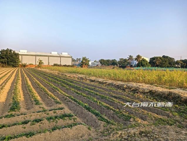台南新化農地-2
