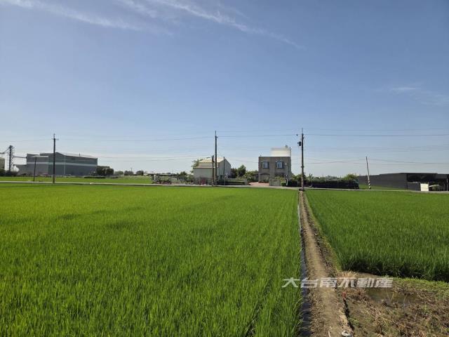 六甲農地-0