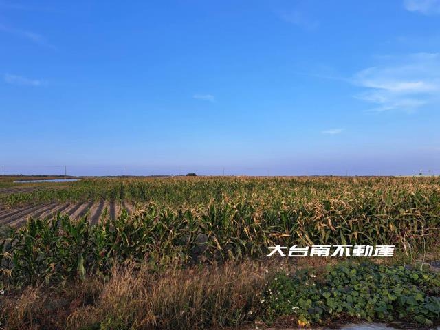 七股農地-2