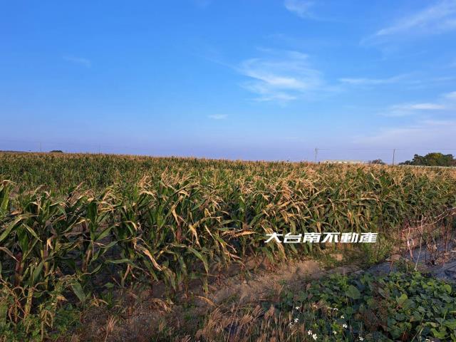 七股農地-3